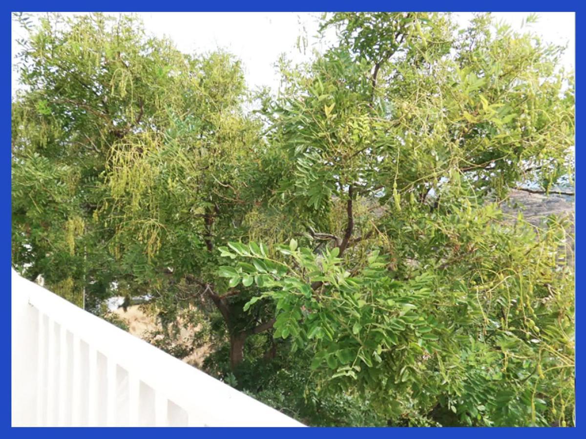 Apartamento Kampos View Ikaria Evdilos  Exterior foto
